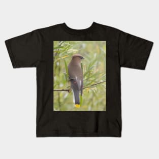 Cedar Waxwing in a tree Kids T-Shirt